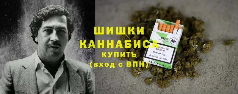 Канабис OG Kush  Белоярский 